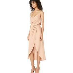 NWT Joie Tanika Dress size S in warm blush